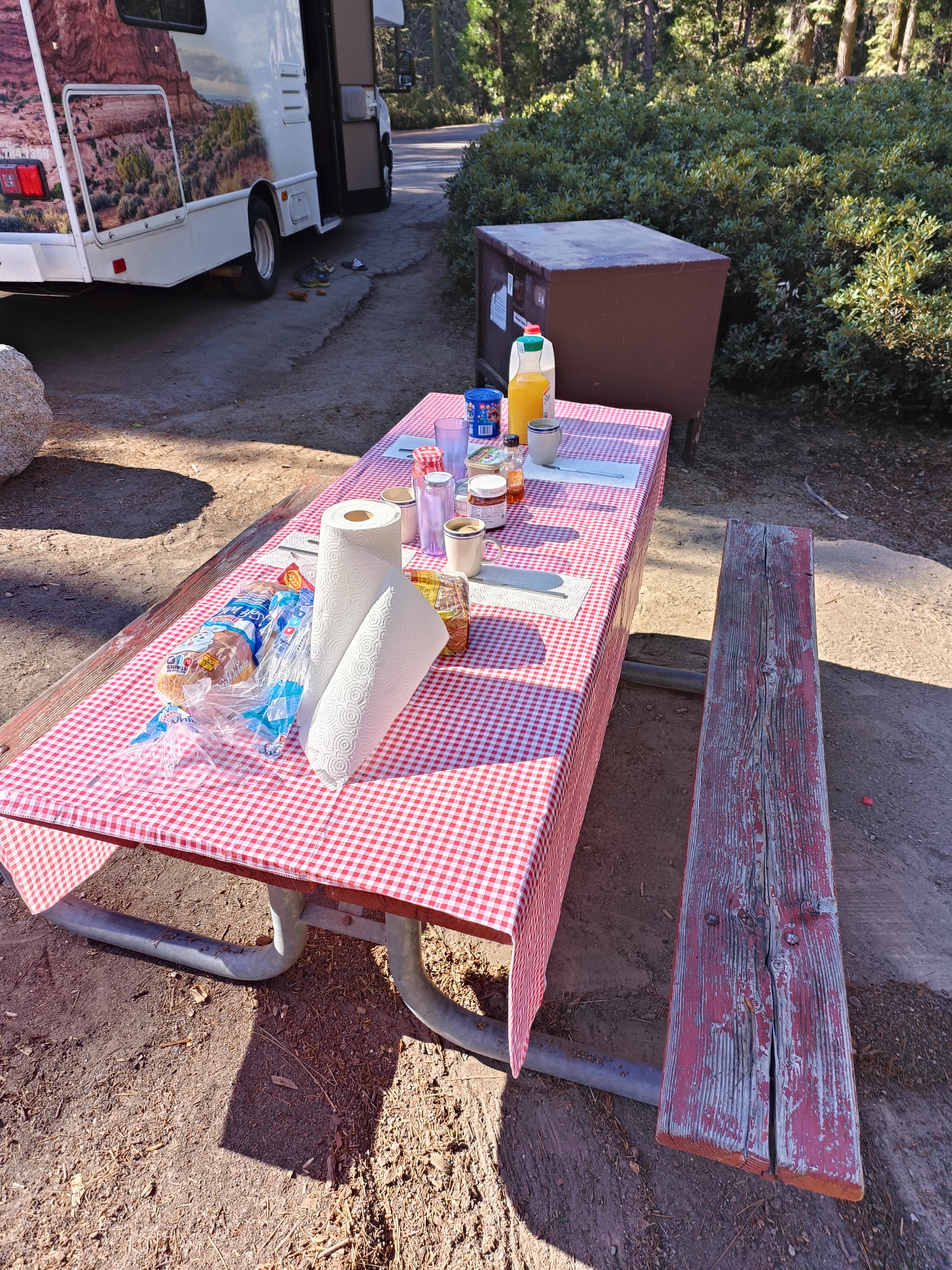 Sequioa Nationalpark - Azalea Campground
